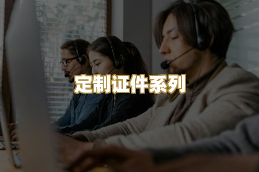 定制证件系列